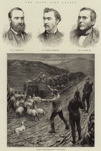 Irish Land League